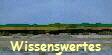 Wissenswertes